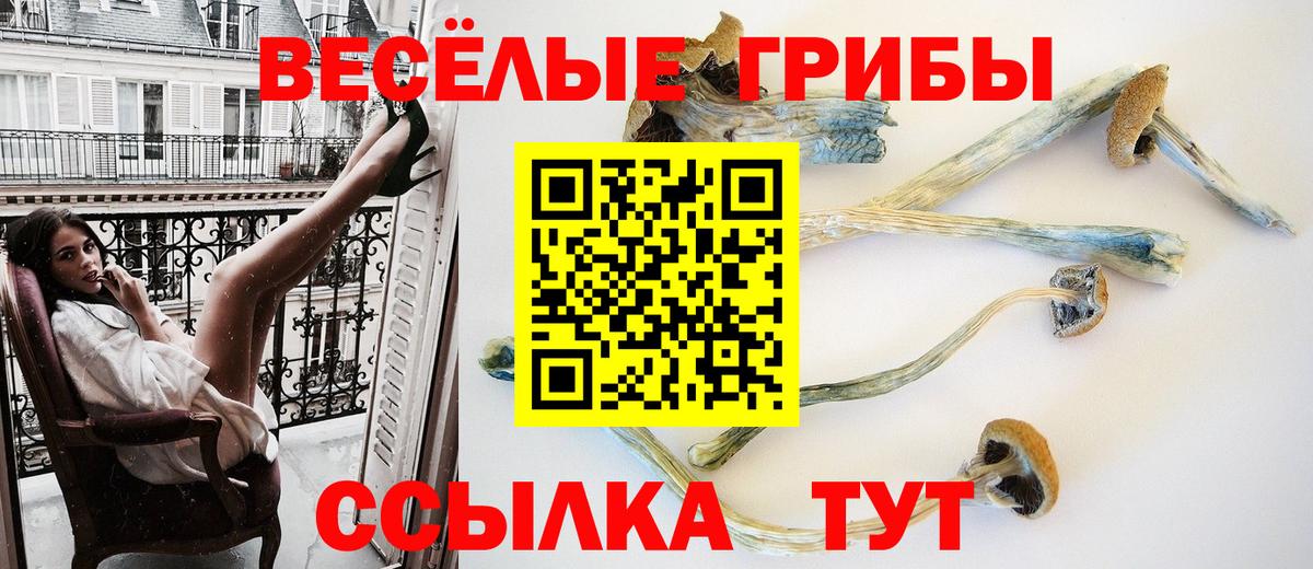 Галлюциногенные грибы Cubensis Прокопьевск