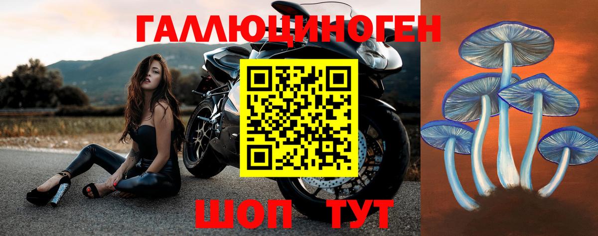 как найти закладки  Псилоцибиновые грибы MAGIC MUSHROOMS  Вход с VPN  Прокопьевск 